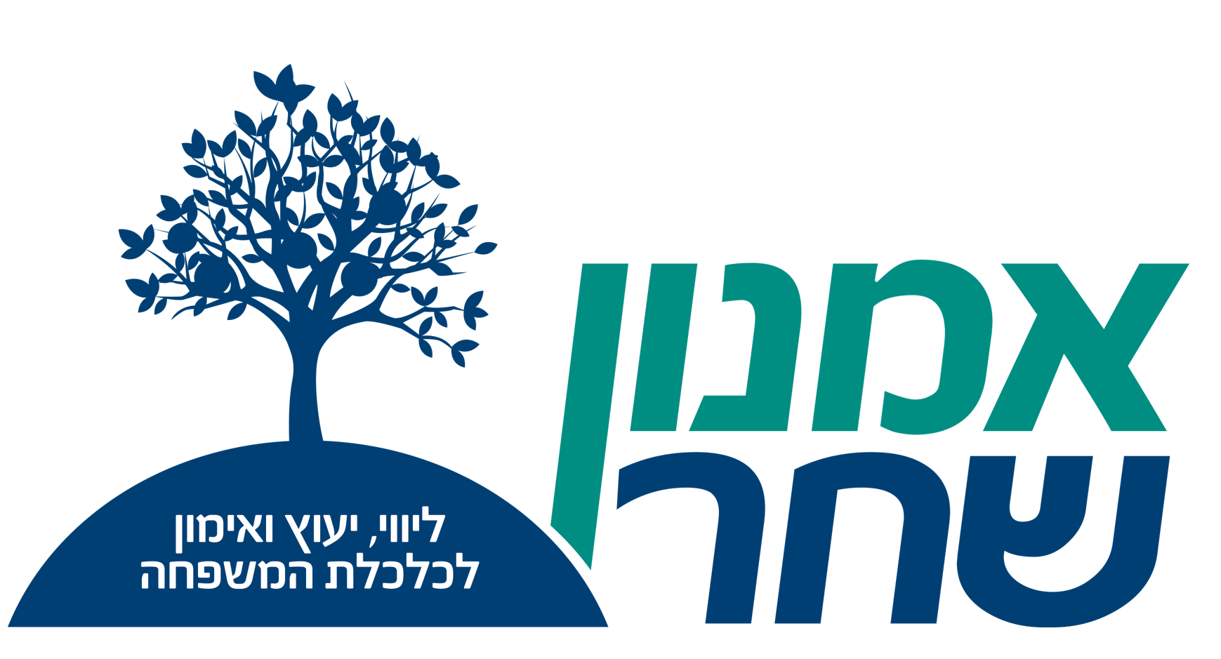 אמנון שחר – יועץ ומאמן לכלכלת המשפחה
